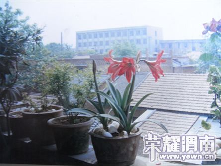 RIMG0021.jpg