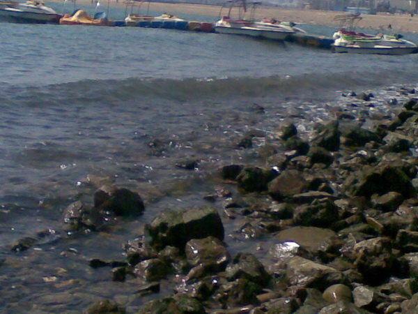 20100326_014.jpg