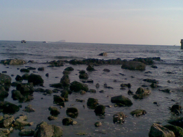 20100327_007.jpg