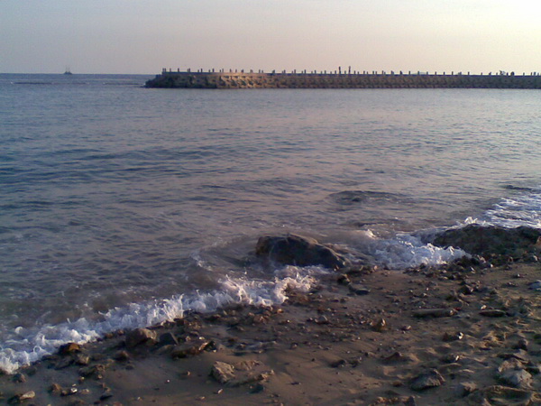 20100327_038.jpg