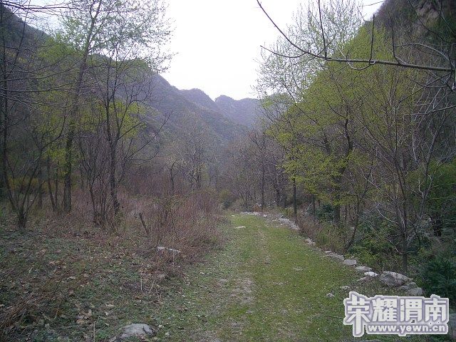 img028.jpg