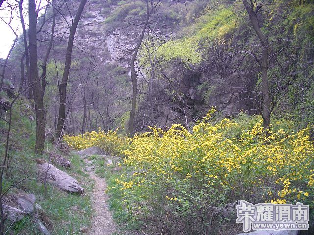 img008.jpg