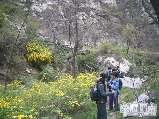img010.jpg