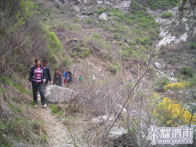 img005.jpg