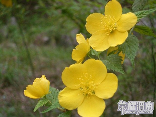img018.jpg