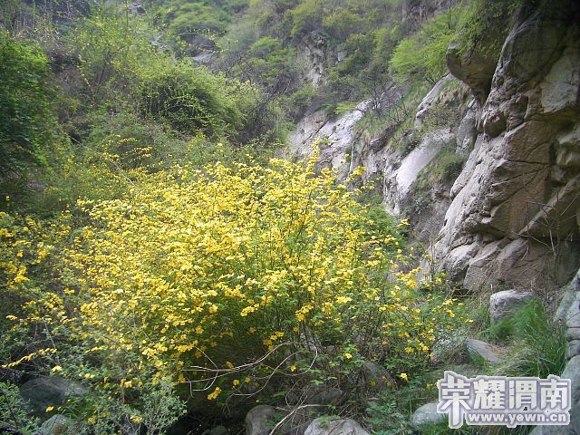 img006.jpg