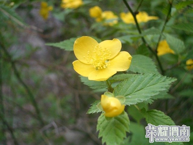 img019.jpg