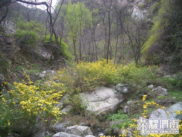 img011.jpg