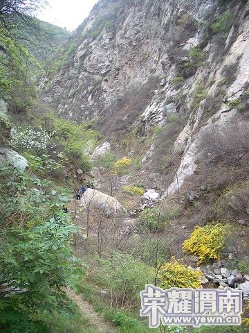 img039.jpg