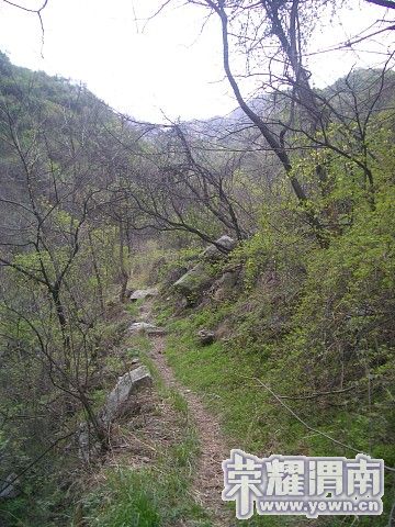 img041.jpg