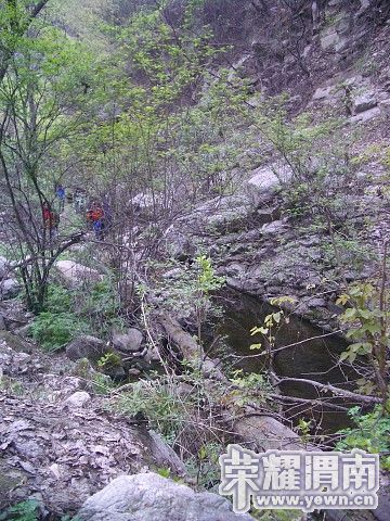 img042.jpg
