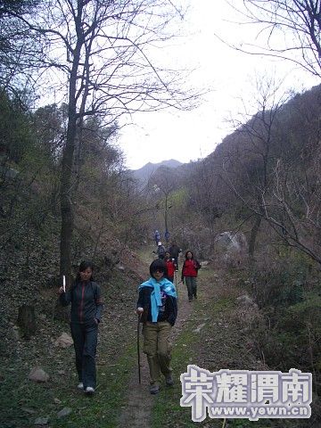 img045.jpg