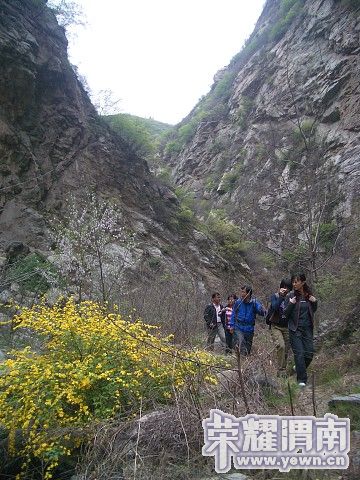 img037.jpg