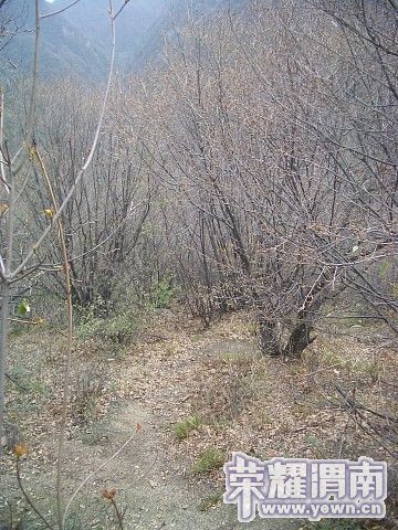 img043.jpg