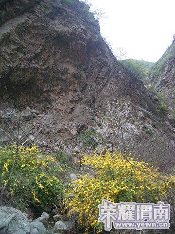 img038.jpg