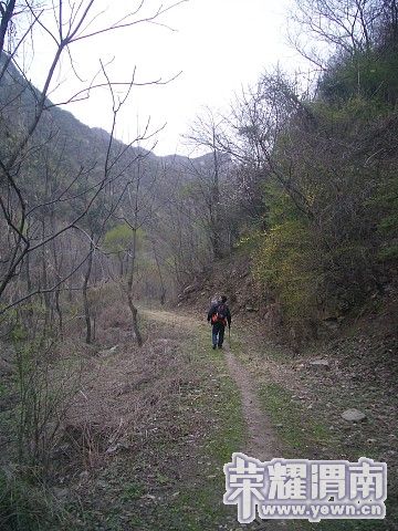 img044.jpg