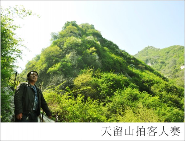 conew_����֥.��Ӱ (1).jpg