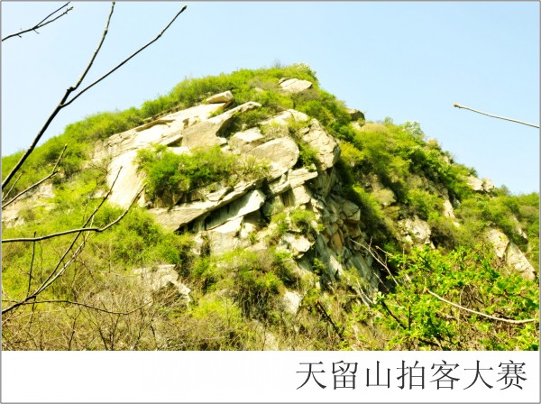 conew_����֥.��Ӱ (3).jpg