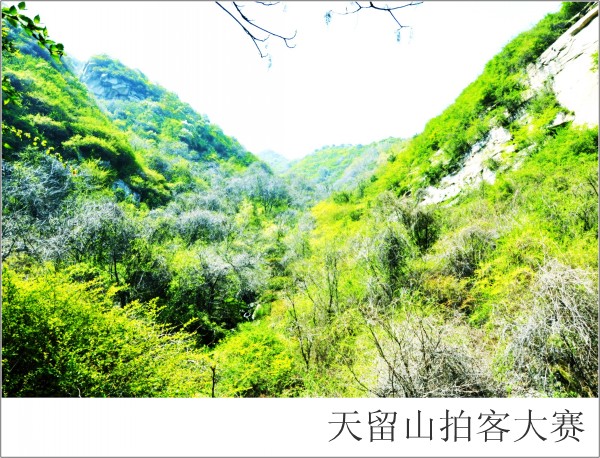 conew_����֥.��Ӱ (5).jpg