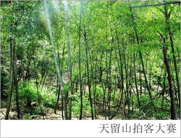 conew_��Ӱ-����� (2).jpg