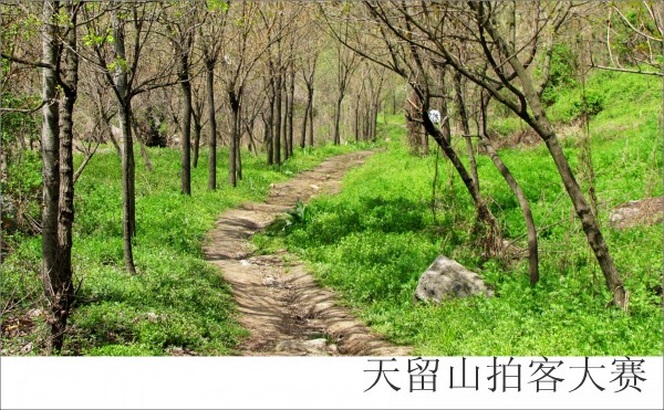 ��Ӱ-���� (8).jpg