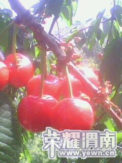 IMG0123A.jpg