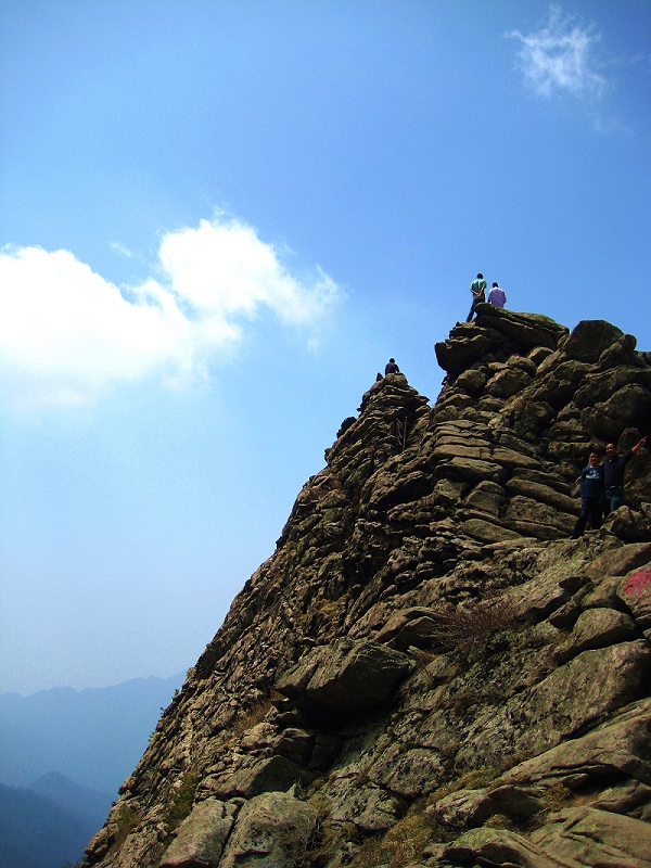 ��ȸɭ�ֹ�԰ 017.jpg