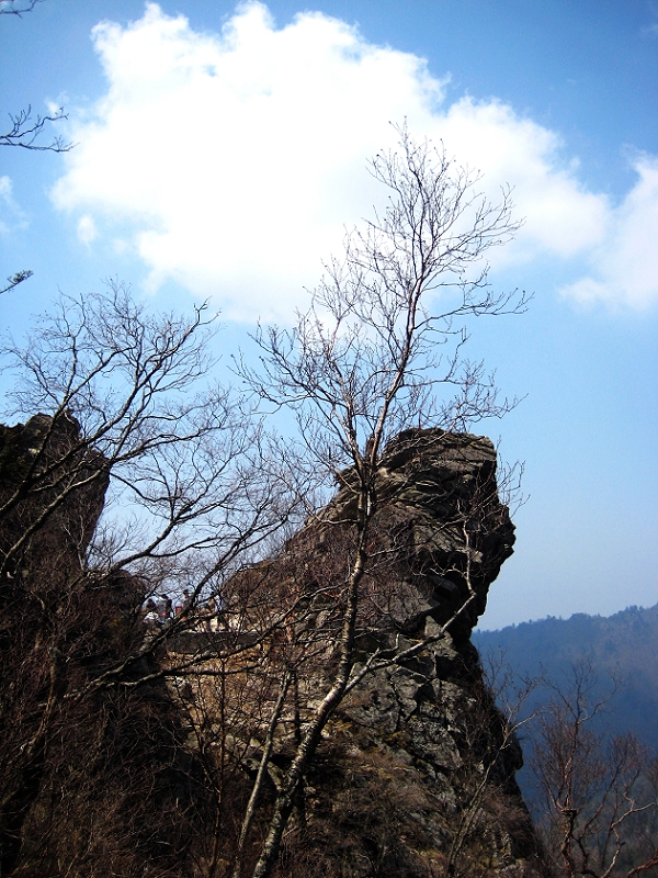 ��ȸɭ�ֹ�԰ 025.jpg