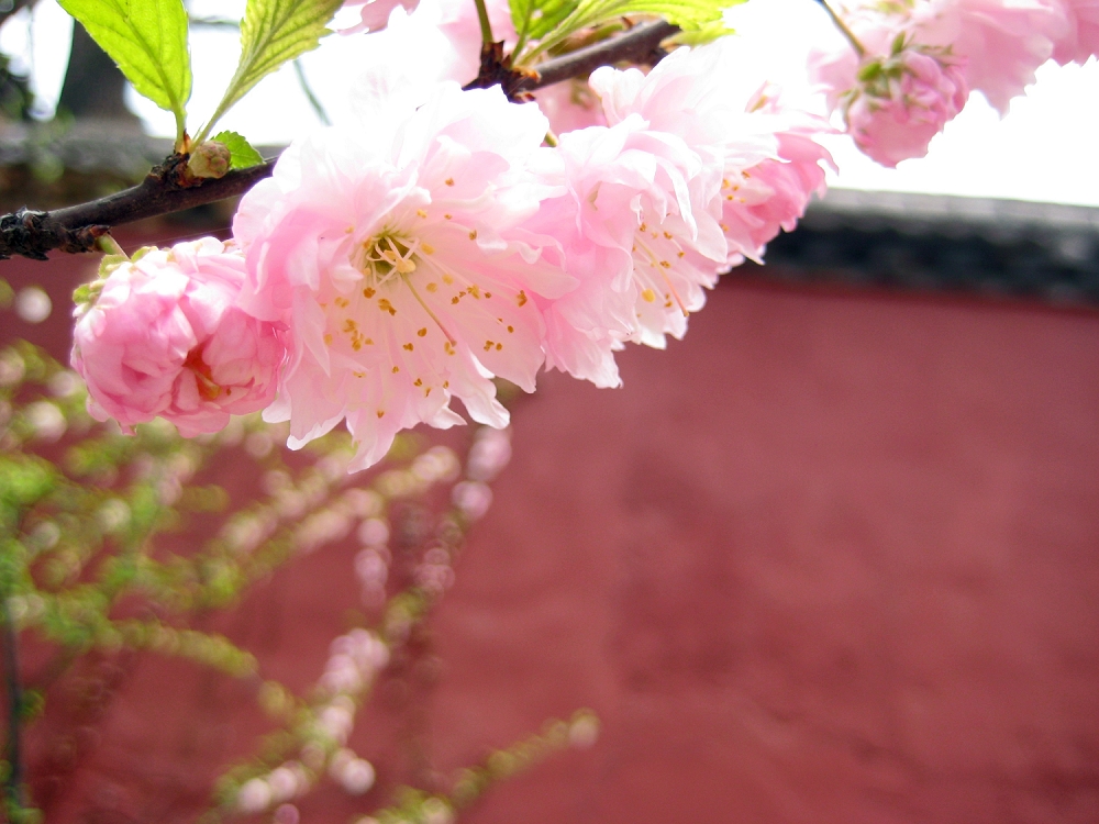 ������ 228.jpg