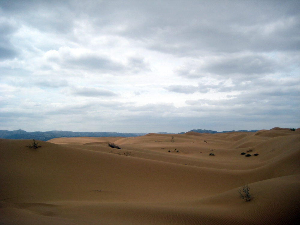 �������� 152.jpg