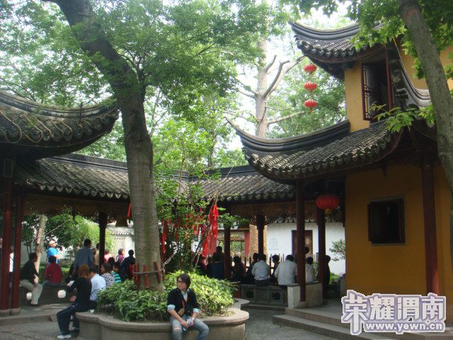 DSC03767.JPG