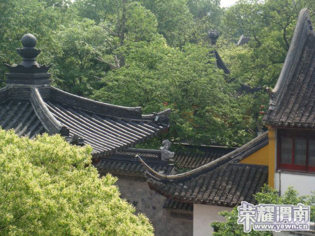 DSC03787.JPG