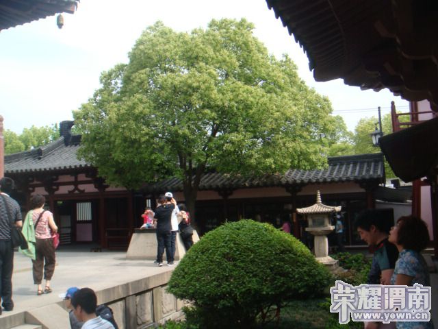 DSC03776.JPG