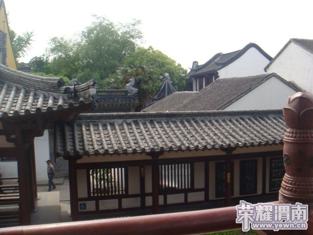 DSC03777.JPG