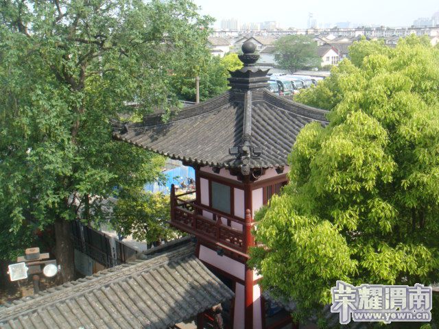 DSC03788.JPG