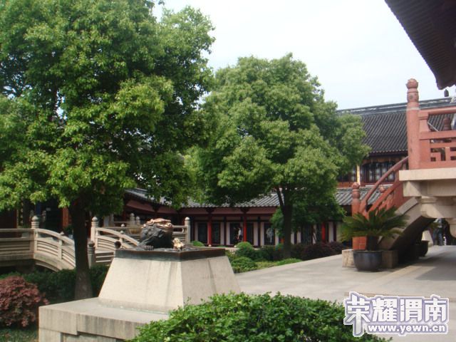 DSC03775.JPG