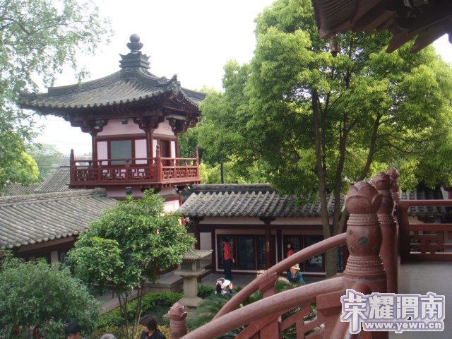 DSC03780.JPG