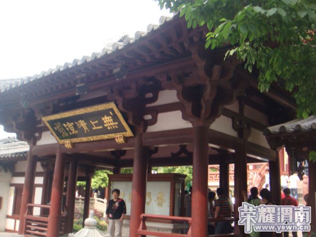DSC03774.JPG