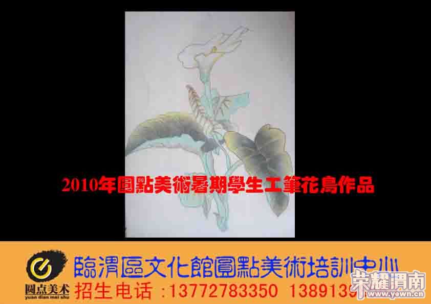 Բ������ѧ����Ʒ