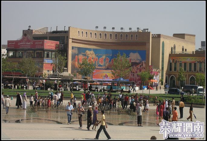 P1010122-2.jpg
