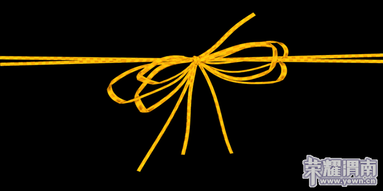 3211629484269758660.png