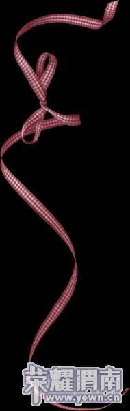 2515823341840202978.png