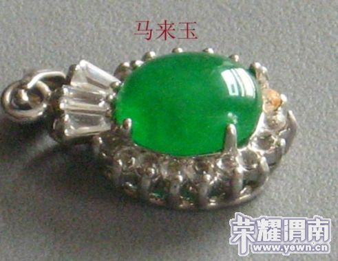 20080325_d7ad386711a11c108373gbXWlLm9PBuk_jpg_thumb(1).jpg