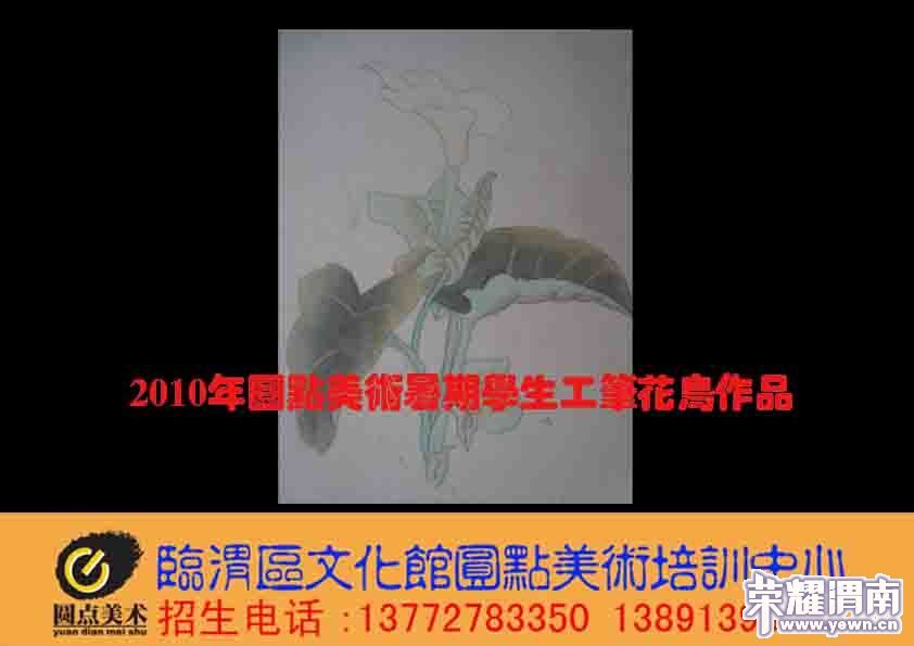 Բ������ѧ����Ʒ