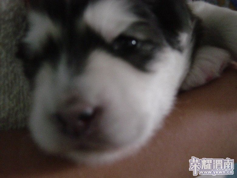 dsc00006_����.jpg