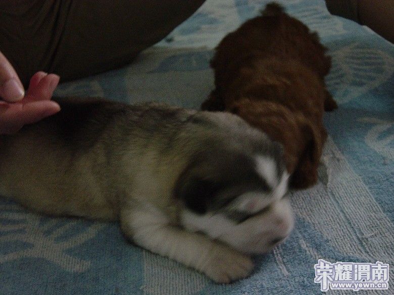 dsc00016_����.jpg