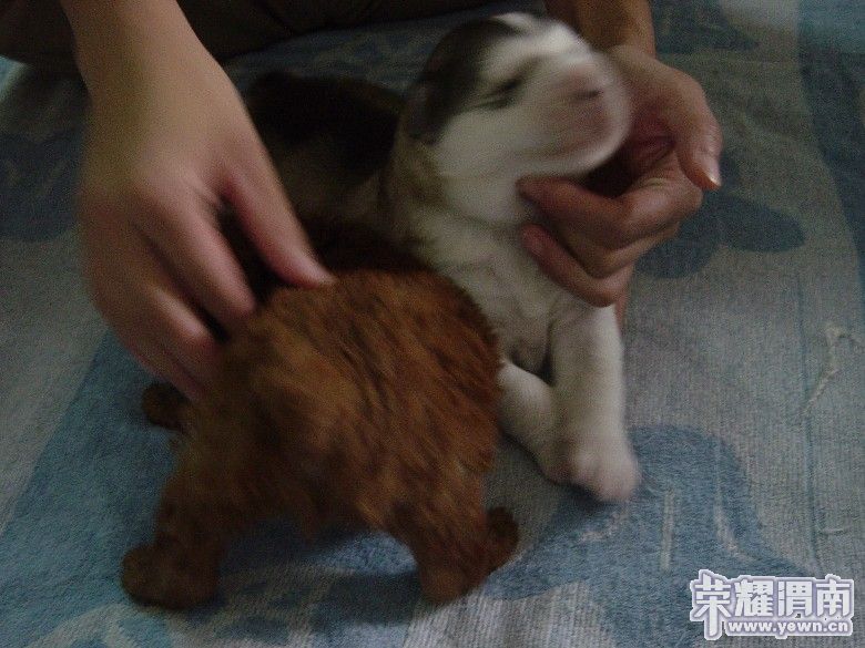 dsc00017_����.jpg