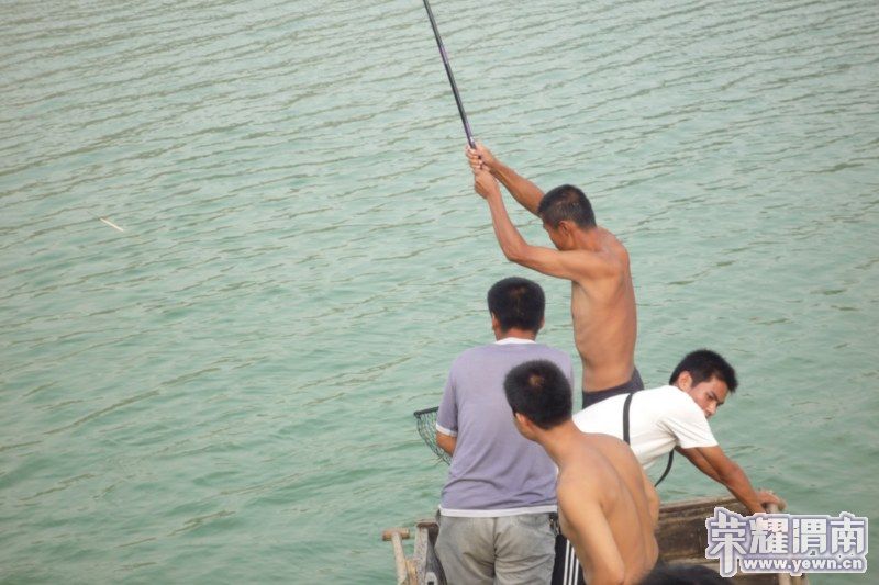 P1040064 [800x600].jpg