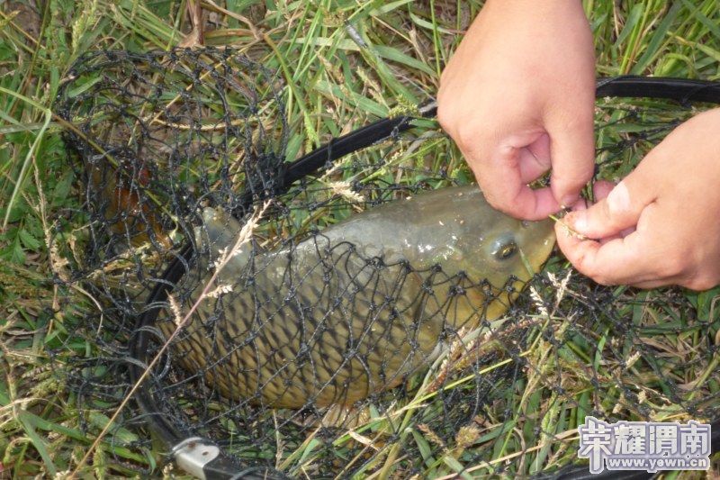 P1040069 [800x600].jpg