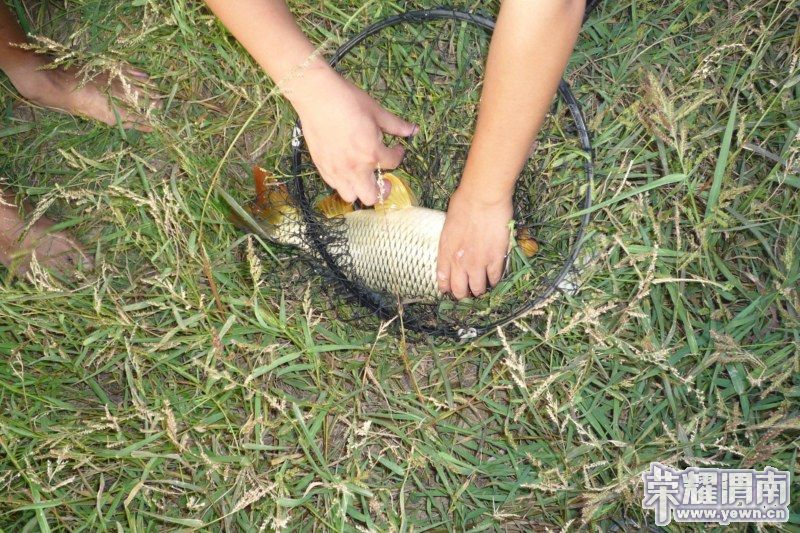 P1040072 [800x600].jpg